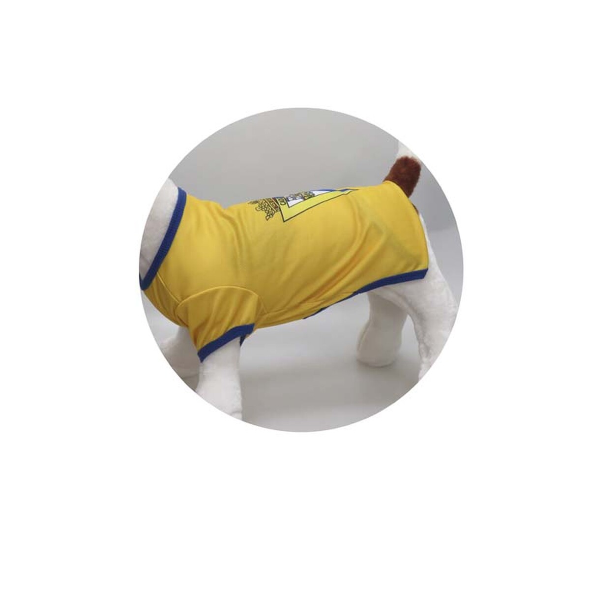 Cádiz Camiseta para Perro Talla XS