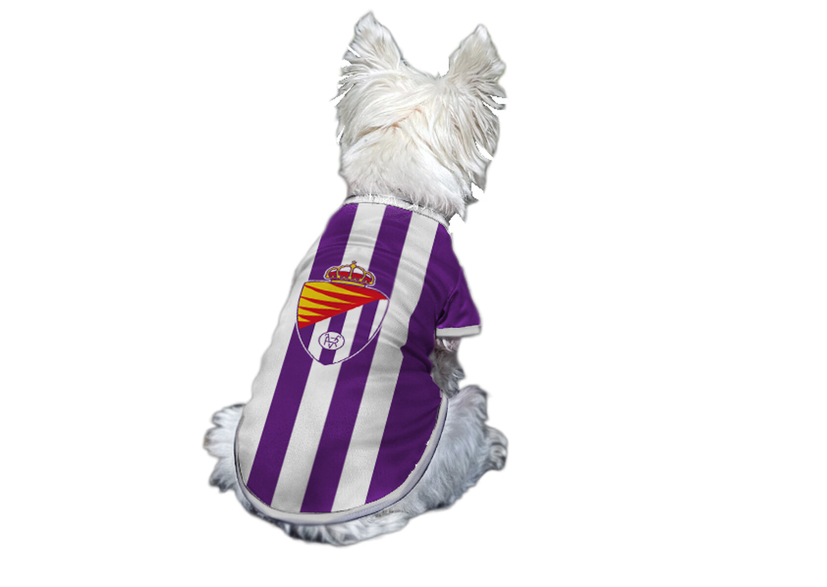 Real Valladolid Camiseta para Perro - Talla S
