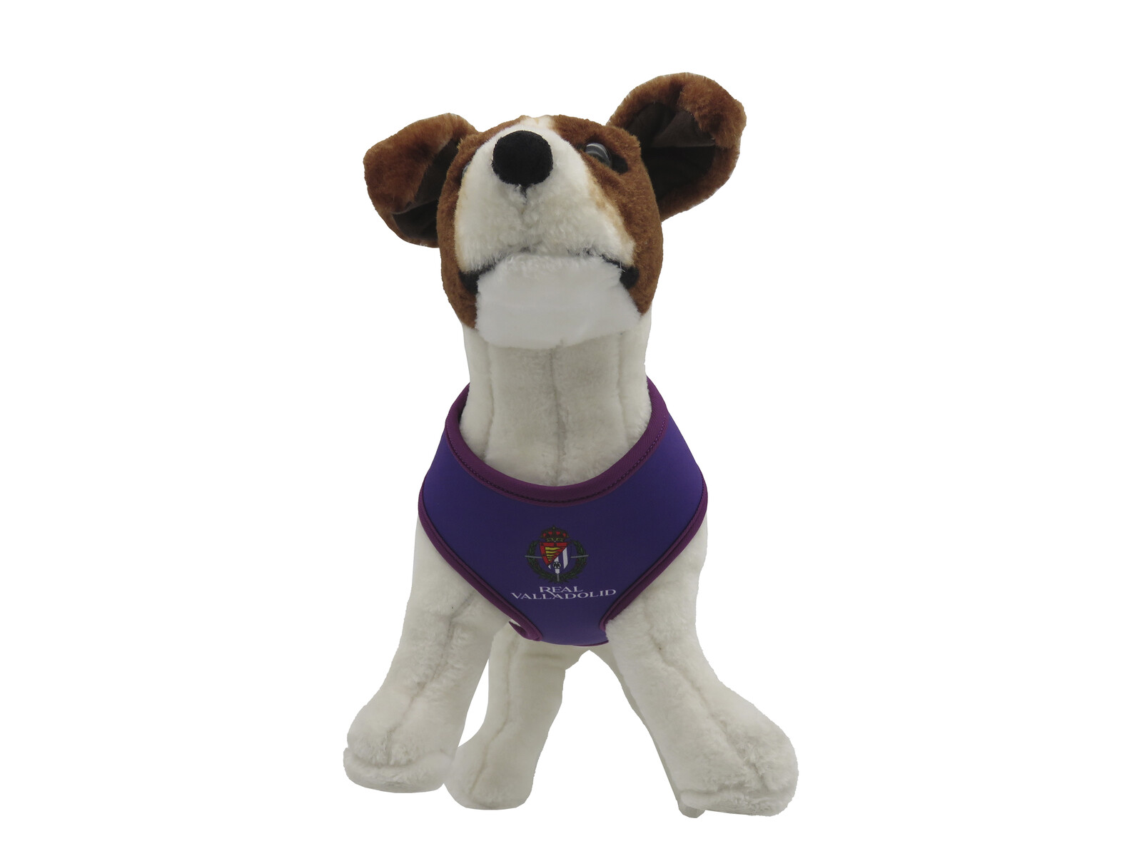 Real Valladolid Arnés para Perro - Talla L