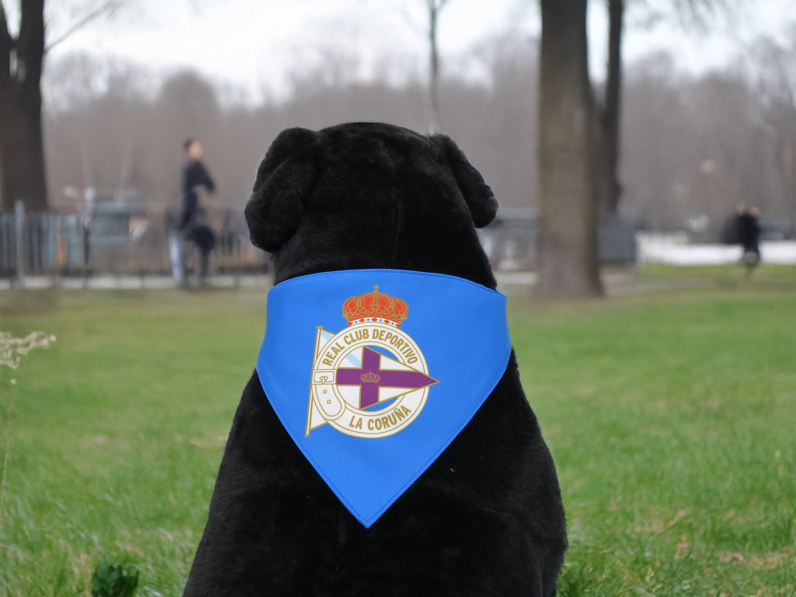 Deportivo de la Coruña Bandana para Perro